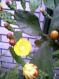 b0082951_1558657.jpg