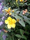 b0082951_1602672.jpg