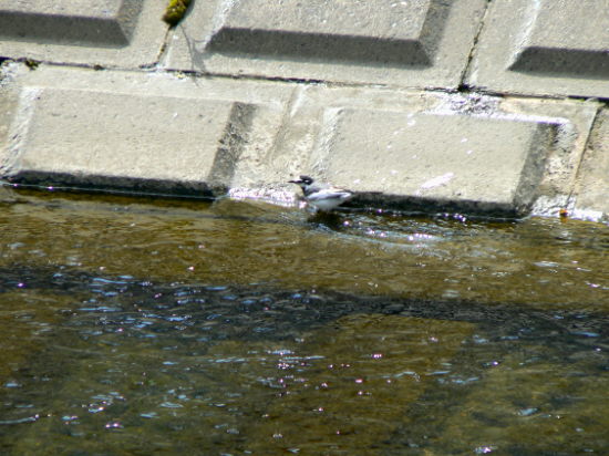d0091754_3321897.jpg