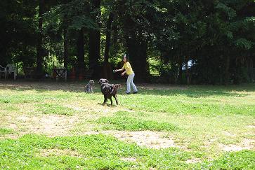 f0050955_2213183.jpg