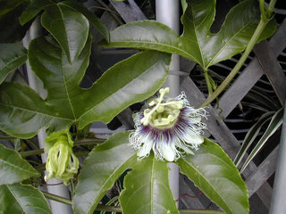 a0088456_203153.jpg