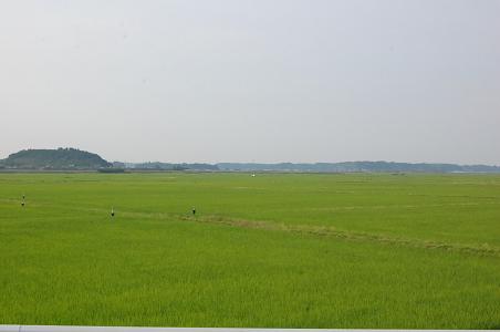 e0089761_2351099.jpg
