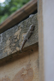 f0120569_21224945.jpg