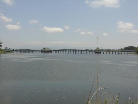 f0116278_1812179.jpg