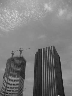 f0100480_13464250.jpg