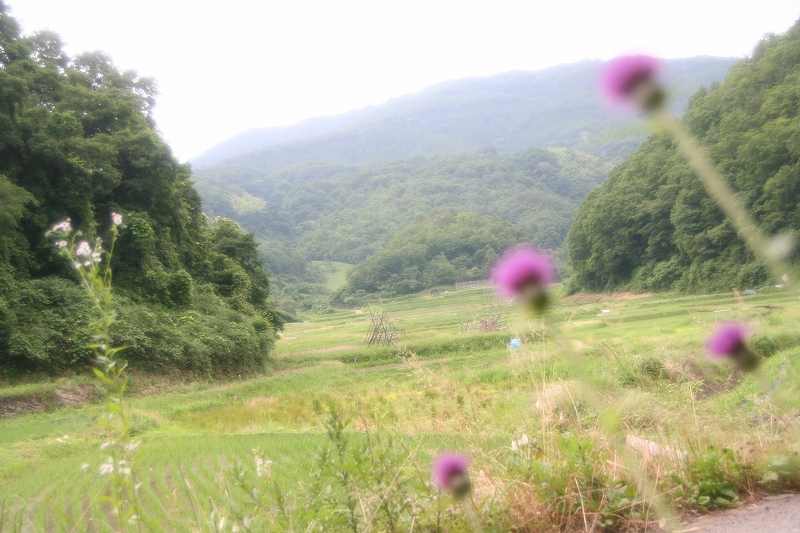 e0024081_21434063.jpg