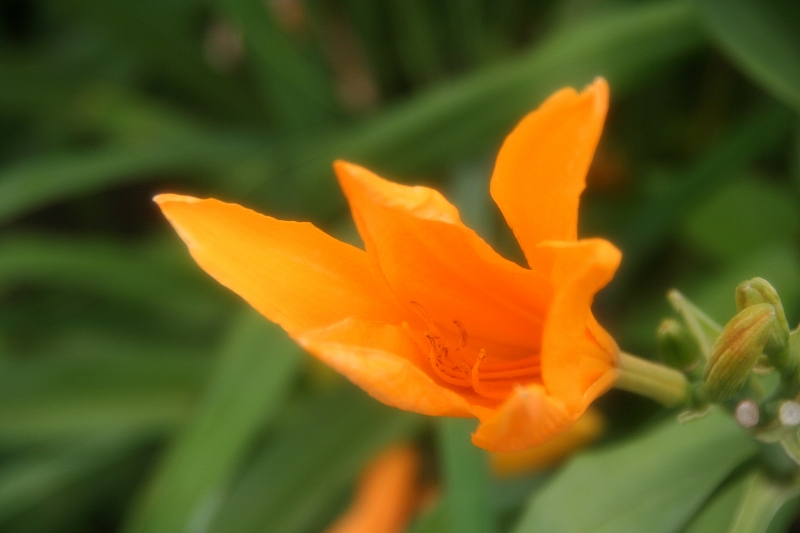 e0024081_2144962.jpg