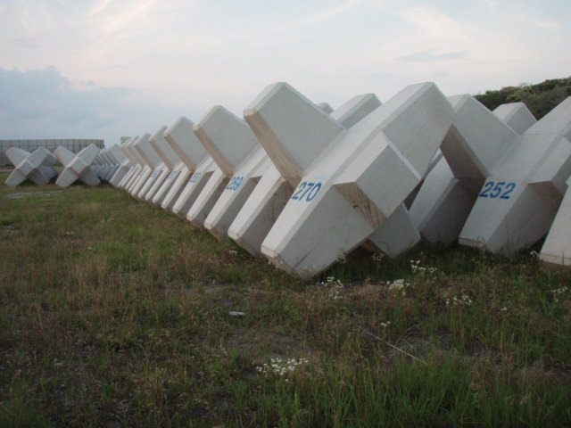 e0125483_20132821.jpg