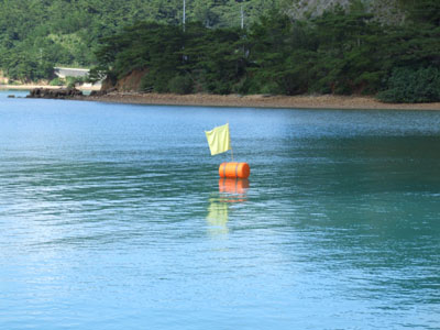 e0028387_21321526.jpg