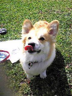 c0123890_22212989.jpg