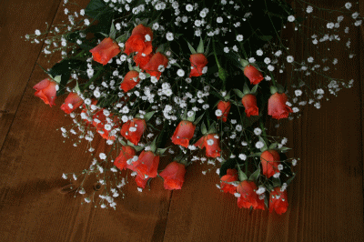 d0100192_8454640.gif