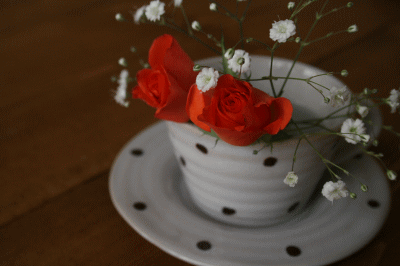 d0100192_8462382.gif