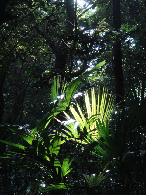 e0111793_22245798.jpg