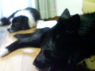 f0090009_19145855.jpg