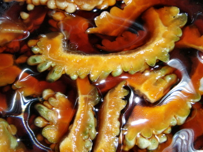 c0118210_10182593.jpg