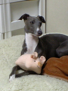 c0003217_21235572.jpg