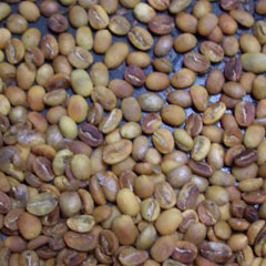 c0036617_2020224.jpg
