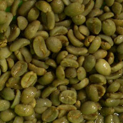 c0036617_20203994.jpg