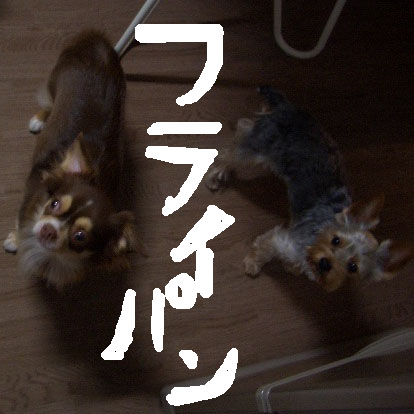 c0036617_20212564.jpg