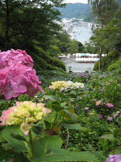 f0022222_0252081.jpg