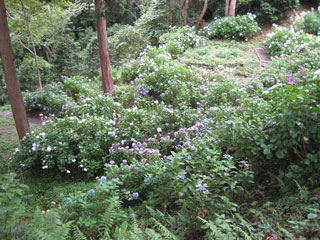 f0022222_026899.jpg
