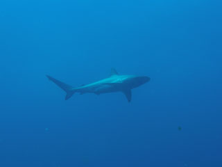 f0022222_0281623.jpg