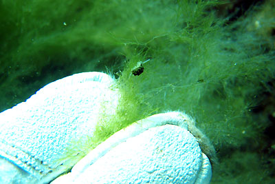 b0044726_9283556.jpg