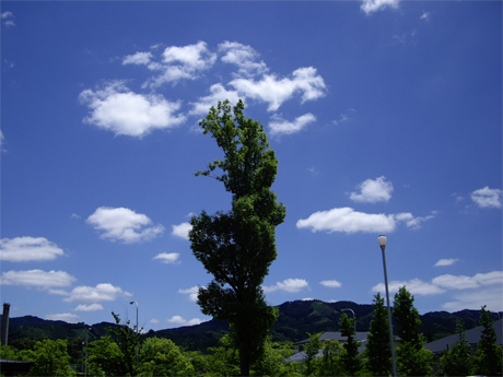 f0128527_21221888.jpg