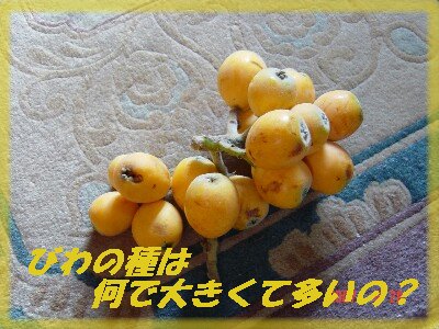 c0009528_23435881.jpg