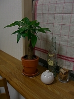 d0098047_0181411.jpg