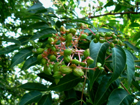 d0091754_22491535.jpg