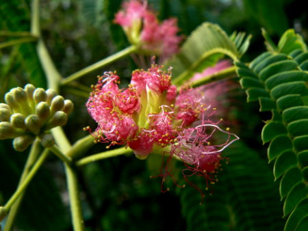 d0091754_23315851.jpg