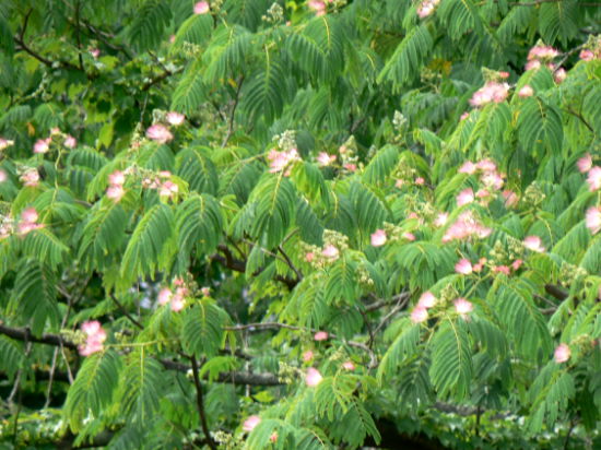 d0091754_23345165.jpg