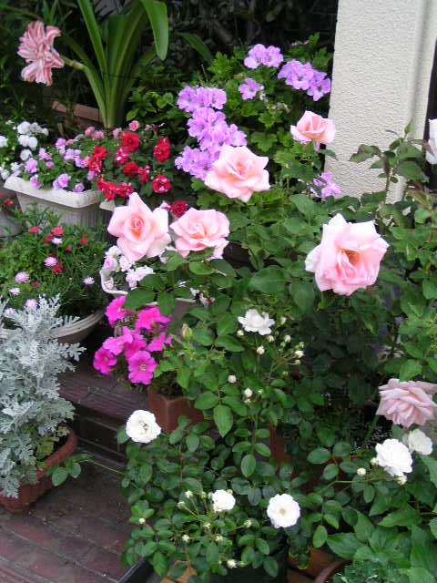 f0074659_21495425.jpg