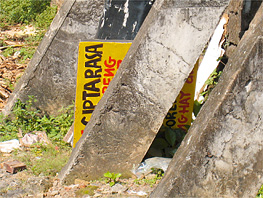 e0038669_872482.jpg