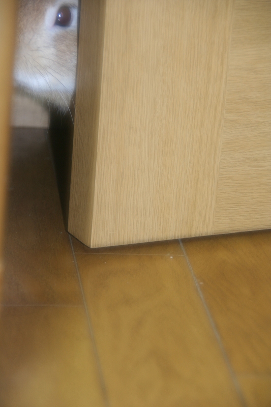 e0024081_14185665.jpg