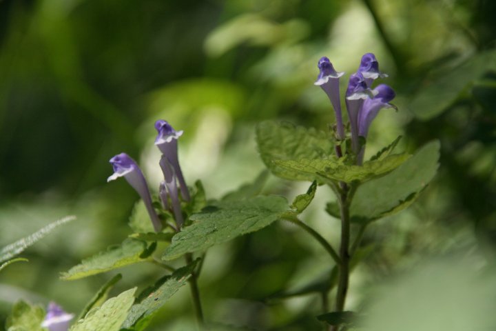 a0060882_8411919.jpg