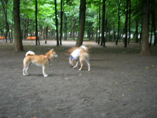 c0123890_21321646.jpg