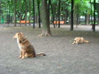 c0123890_213312100.jpg