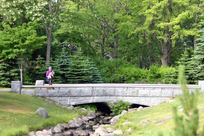 f0001895_2021232.jpg