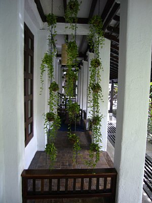 a0036499_0491661.jpg