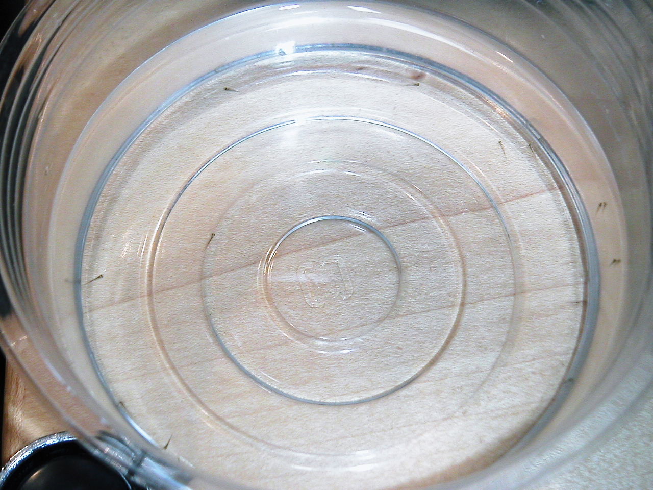 d0077699_1436298.jpg