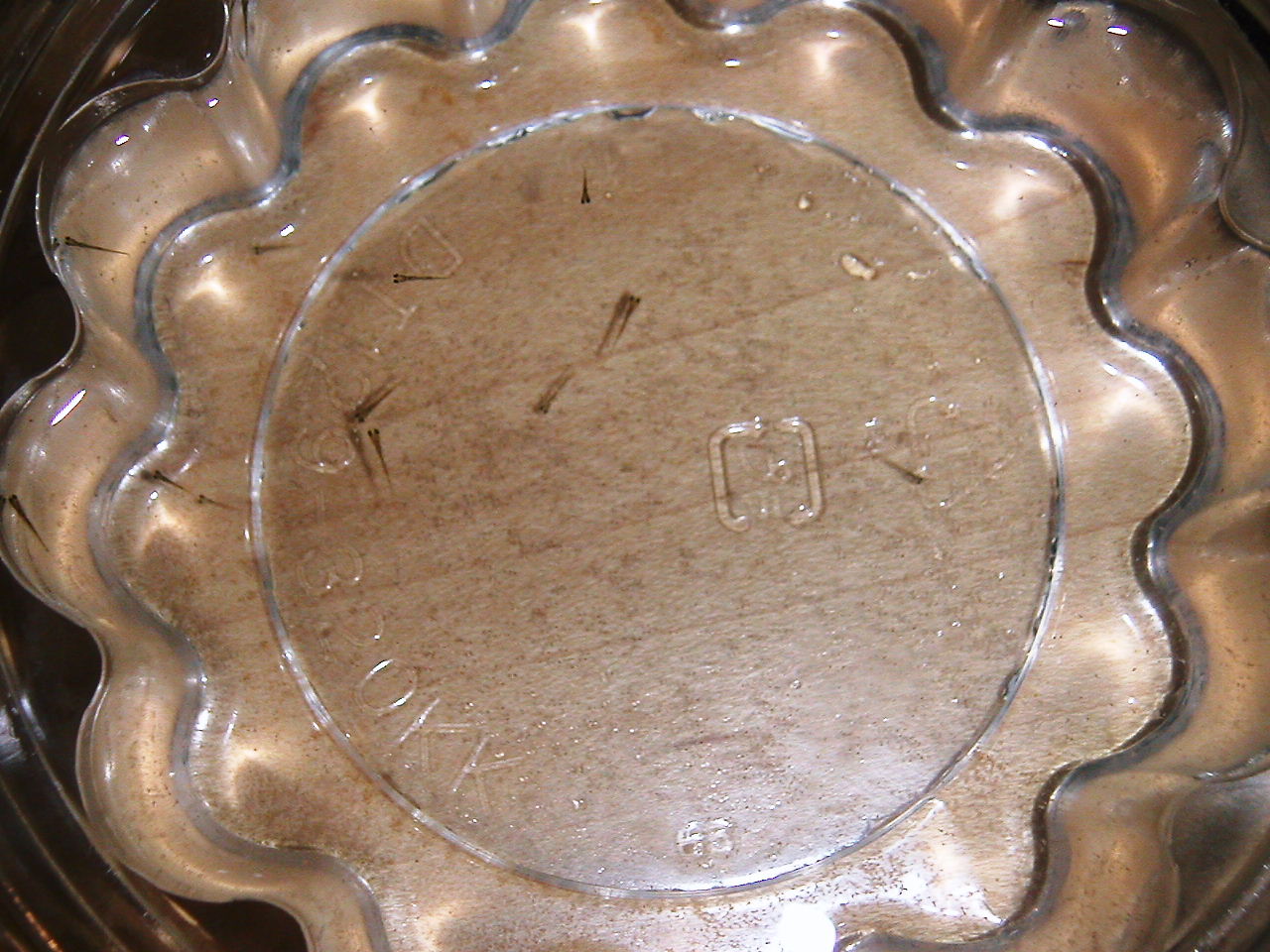 d0077699_1438233.jpg