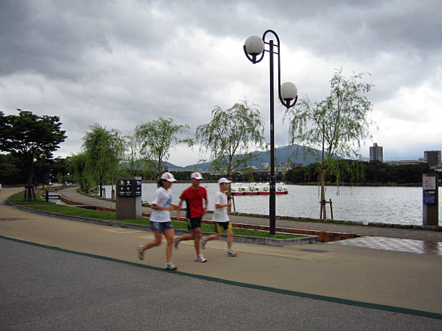 b0108100_01412.gif