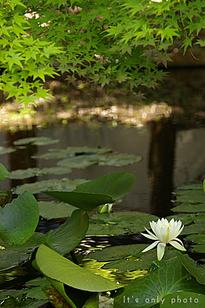 e0008800_23584024.jpg