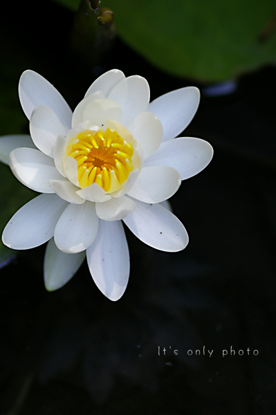 e0008800_23592761.jpg