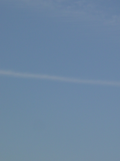 b0083902_12385614.jpg