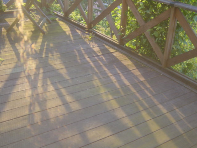 b0083902_13185576.jpg