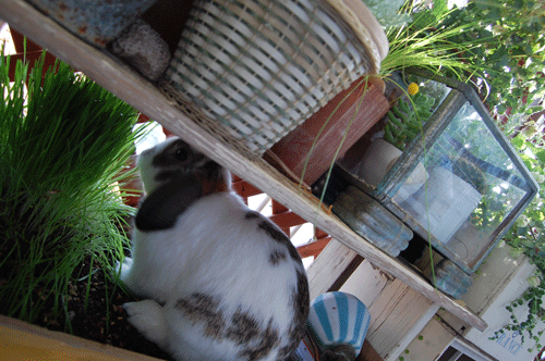 d0015006_23121377.gif
