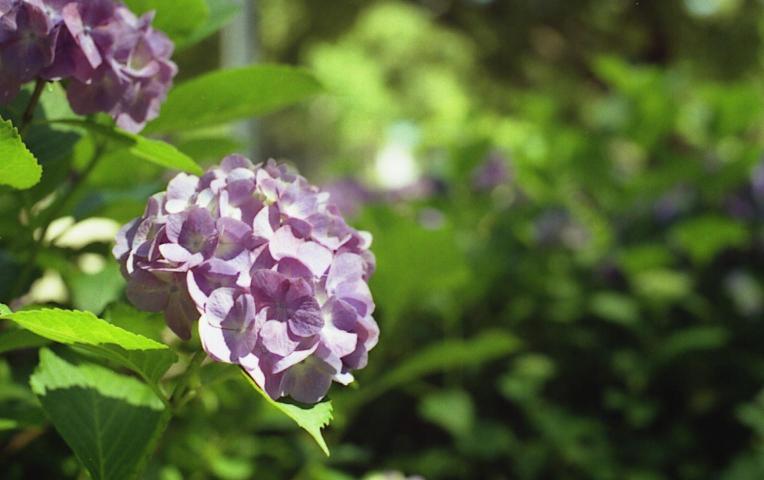 d0071507_1301952.jpg